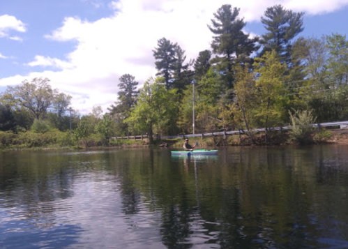 A person kayaking on a calm lake surrounded by trees and a blue sky with scattered clouds.