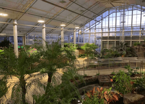 A spacious greenhouse filled with lush plants, palm trees, and natural light streaming through large glass windows.
