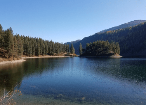 A serene lake surrounded by evergreen trees and mountains under a clear blue sky.