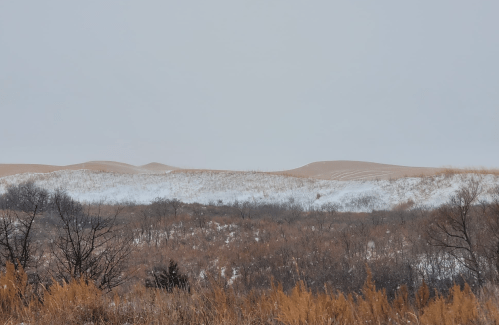 A snowy landscape featuring rolling sand dunes and sparse vegetation under a gray sky.