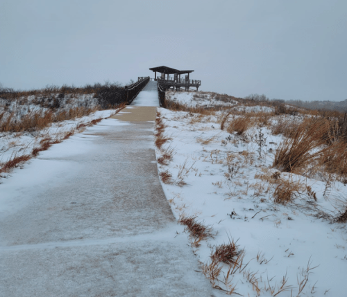 A snowy pathway leads to a wooden observation deck on a hill, surrounded by tall grass and a gray sky.