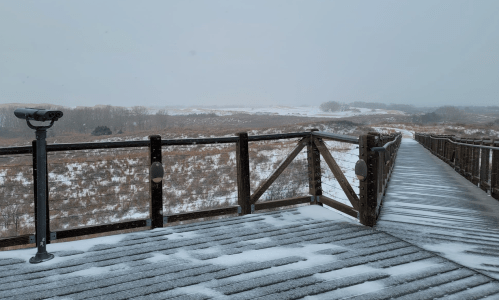A snowy landscape viewed from a wooden observation deck, with a path leading into the distance.