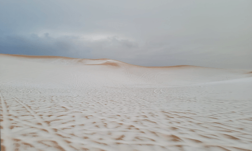 A vast, sandy desert landscape with gentle dunes under a cloudy sky.