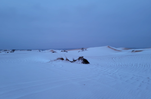 A serene landscape of snow-covered dunes under a cloudy sky, with gentle slopes and sparse vegetation.