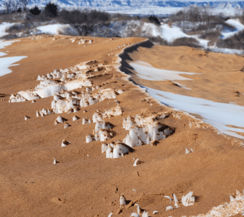 A sandy landscape with patches of snow and ice formations, set against a blurred background of hills and trees.