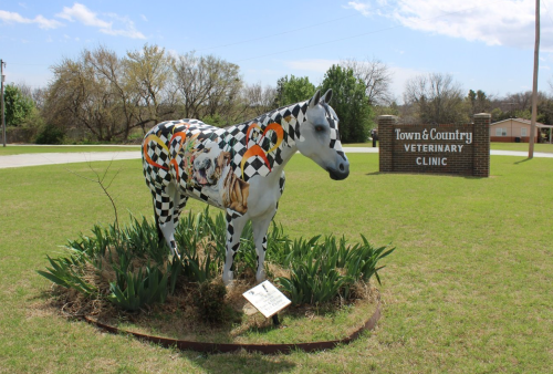 A painted horse statue stands in front of the Town & Country Veterinary Clinic, surrounded by green grass and plants.