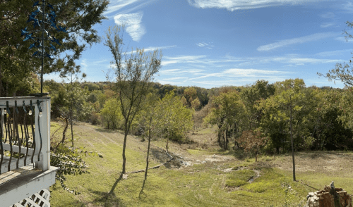 A scenic view of a green landscape with trees and a clear blue sky, seen from a balcony.