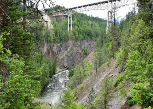 A river flows through a lush green canyon, with a bridge spanning above the trees.