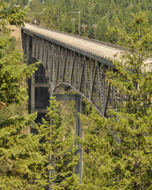 A metal bridge spans a deep gorge, surrounded by lush green trees and a clear blue sky.