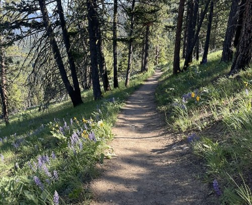 Visit a Natural Wonder in Montana That’s Like the Grand Canyon