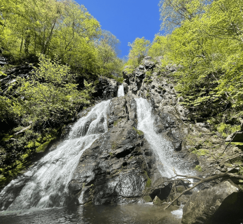 A serene waterfall cascading down rocky cliffs, surrounded by vibrant green foliage under a clear blue sky.