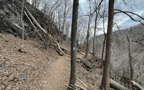 A winding dirt trail through a wooded area with bare trees and rocky terrain under a cloudy sky.