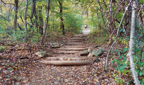 A wooded trail with log steps, surrounded by autumn foliage and a person walking in the distance.