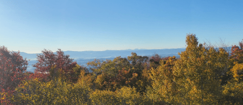 A scenic view of mountains in the distance, surrounded by vibrant autumn foliage under a clear blue sky.
