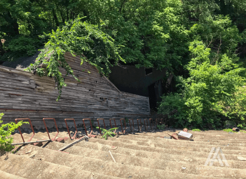 Overgrown wooden structure nestled among trees, with a sloped area and scattered debris in the foreground.
