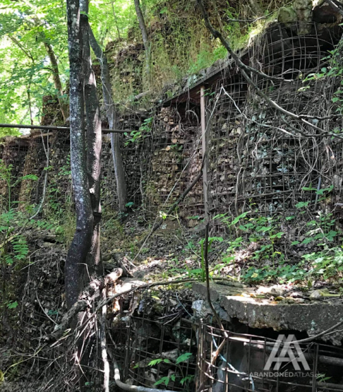 Overgrown ruins with stone walls and metal fencing, surrounded by lush greenery in a forested area.