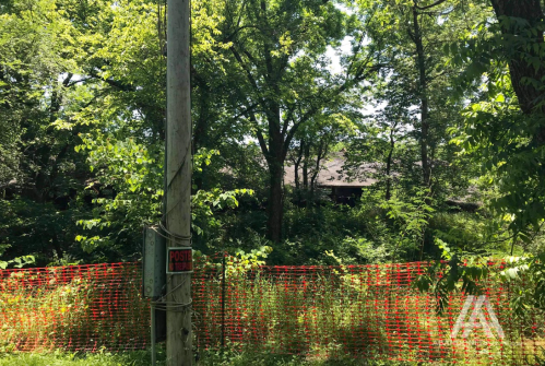 A wooded area with dense greenery and a red construction fence, partially obscuring a building in the background.