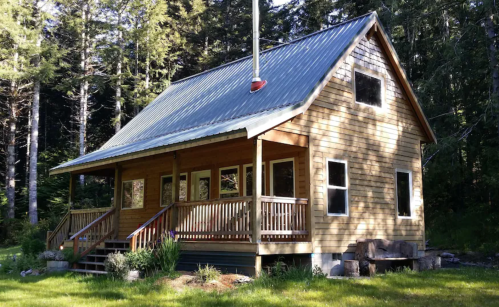 A wooden cabin with a metal roof, surrounded by trees and a grassy area, featuring a porch and large windows.