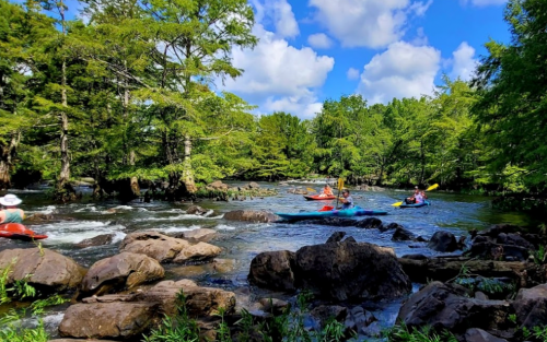 A group of kayakers paddles through a scenic river surrounded by lush greenery and rocky outcrops under a blue sky.