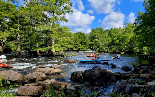 A group of kayakers paddles through a scenic river surrounded by lush greenery and rocky outcrops under a blue sky.