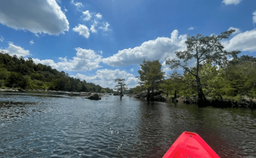 A view from a kayak on a calm river, surrounded by trees and under a bright blue sky with fluffy clouds.