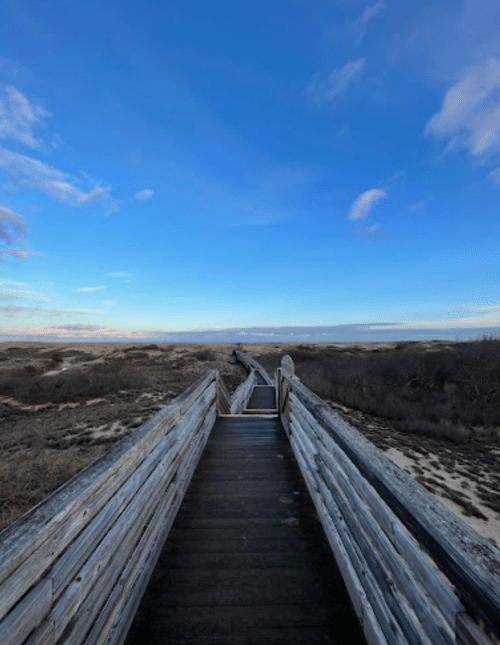 A wooden walkway leads through a sandy landscape under a blue sky with scattered clouds.