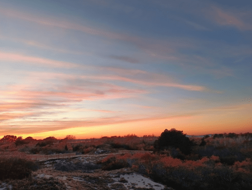A serene sunset over a landscape with colorful clouds and silhouettes of trees.