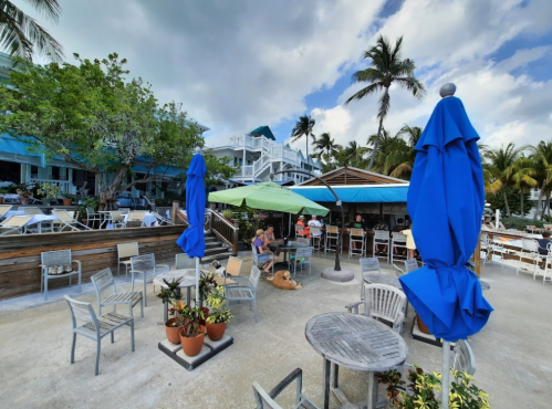 A tropical outdoor dining area with blue umbrellas, palm trees, and people enjoying the scenery at a beachside restaurant.