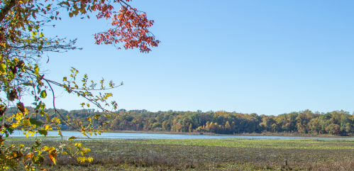 A serene lake scene with autumn foliage, clear blue sky, and lush greenery reflecting on the water's surface.