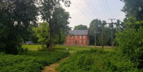 A red brick house surrounded by trees and power lines, with a grassy path leading through dense greenery.