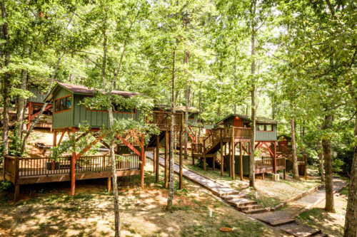 A cluster of treehouses nestled among lush green trees, connected by wooden pathways.