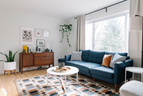 A cozy living room featuring a blue sofa, wooden furniture, plants, and a patterned rug under natural light.