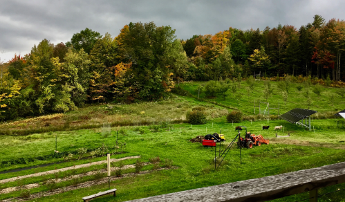 A scenic view of a green landscape with trees in autumn colors, a tractor, and garden plots under a cloudy sky.