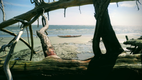 A serene beach scene framed by driftwood, with a kayak resting on the shore under a bright sky.