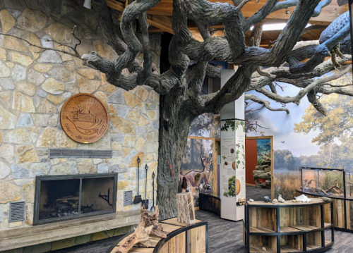 Interior of a rustic space featuring a large tree, stone walls, a fireplace, and wooden displays.