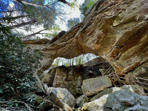 A natural rock arch surrounded by trees and boulders, with sunlight filtering through the opening above.