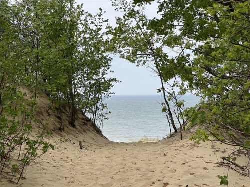 A sandy path framed by trees leads to a calm ocean view under a cloudy sky.