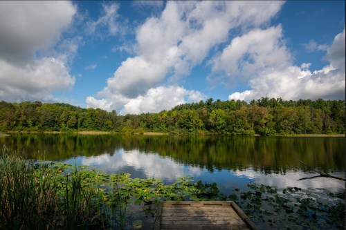 A serene lake surrounded by lush greenery and trees, with fluffy clouds reflecting on the water's surface.