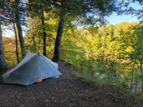 A tent set up on a grassy area near a forested riverbank, surrounded by vibrant autumn foliage.