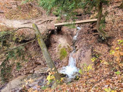 A small waterfall flows over rocks, surrounded by autumn leaves and trees, with a wooden bridge above.