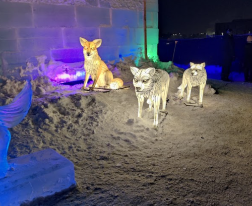 Three illuminated animal sculptures in snow, featuring a fox and two wolves, with colorful lights in the background.