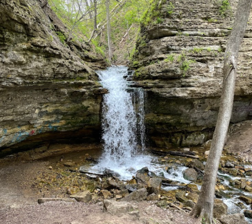 A small waterfall cascades over rocky cliffs, surrounded by lush greenery and a serene forest setting.