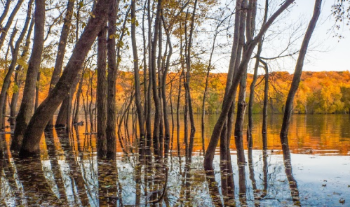 Serene lake scene with trees reflecting in calm water, surrounded by autumn foliage and warm sunset colors.
