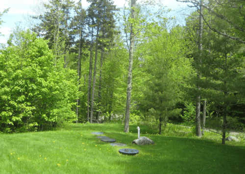 Lush green landscape with trees, grass, and a few rocks under a clear blue sky.