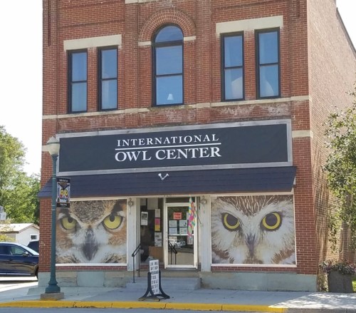 Exterior of the International Owl Center, featuring large owl images on the windows and a welcoming entrance.