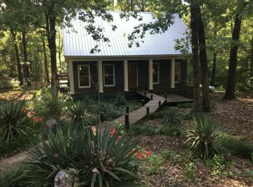 A cozy cabin surrounded by trees and greenery, featuring a wooden walkway and a metal roof.