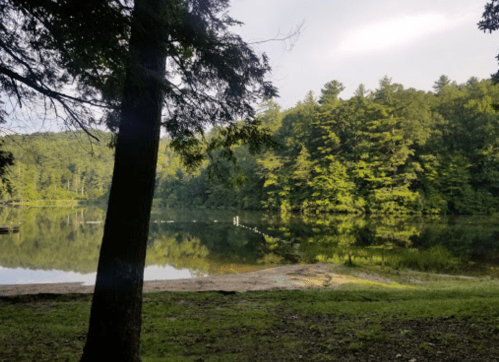 A serene lake surrounded by lush green trees, reflecting the landscape on a calm day.