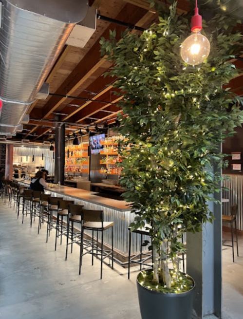 A modern bar interior featuring a long counter, high stools, and a decorative plant with string lights.