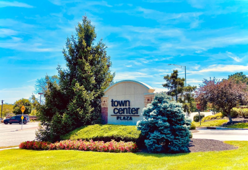Sign for "Town Center Plaza" surrounded by greenery and colorful flowers under a clear blue sky.