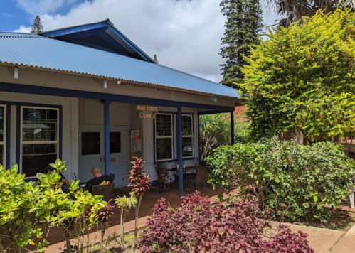 A blue and white building with a sign reading "Blue Ginger Café," surrounded by lush greenery and colorful plants.